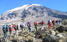 Mt Kilimanjaro trekking